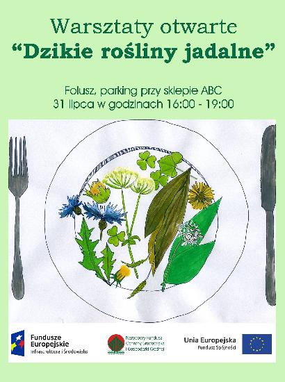 Warsztaty otwarte „Dzikie rośliny jadalne”